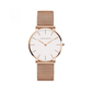 HANNAH MARTIN Elegance 36mm Quartz Watch – Stylish Women's Watch in Stainless Steel with Minimalist Design
